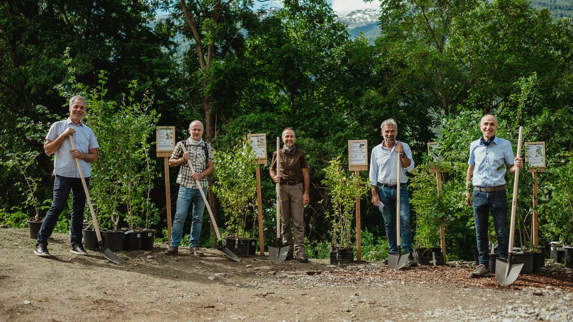 Un "Pascolo per le api" sul Monte Sole di Laces