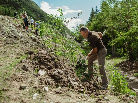 Un "Pascolo per le api" sul Monte Sole di Laces