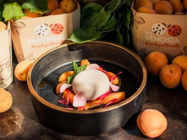 Val Venosta apricots parfait