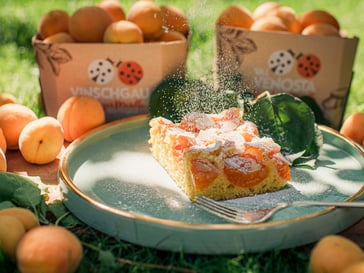 Torta di mandorle con albicocche della Val Venosta
