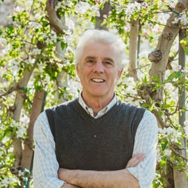 Alber Herbert