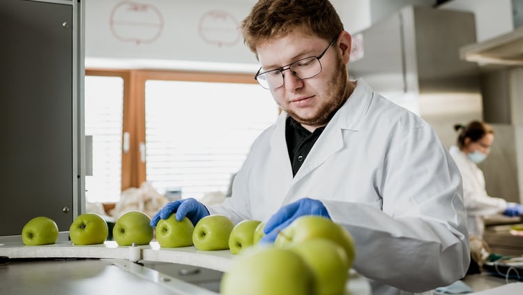 Reifetests, um den idealen Erntetermin zu ermitteln