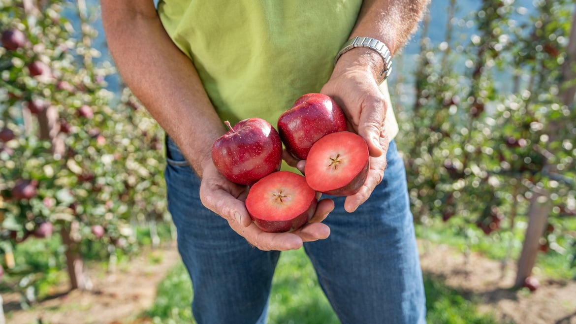 R201 / Apfel Kissabel® rouge