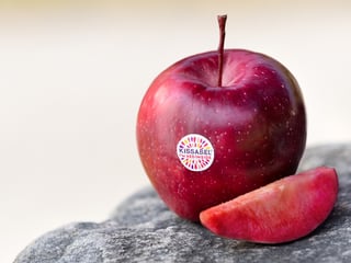 R201 / Apfel Kissabel® rouge