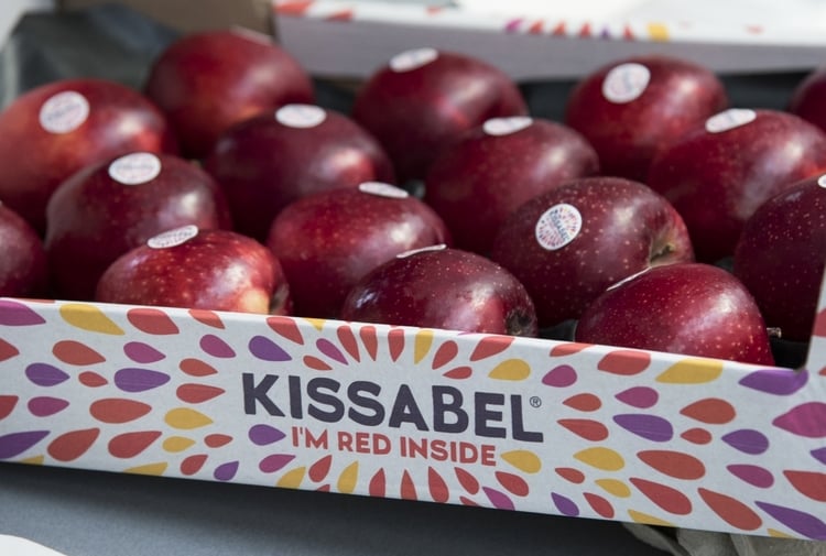 R201 / Kissabel®