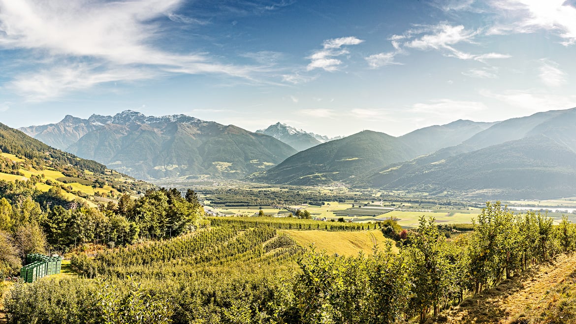 Luce verde per la campagna commerciale VIP