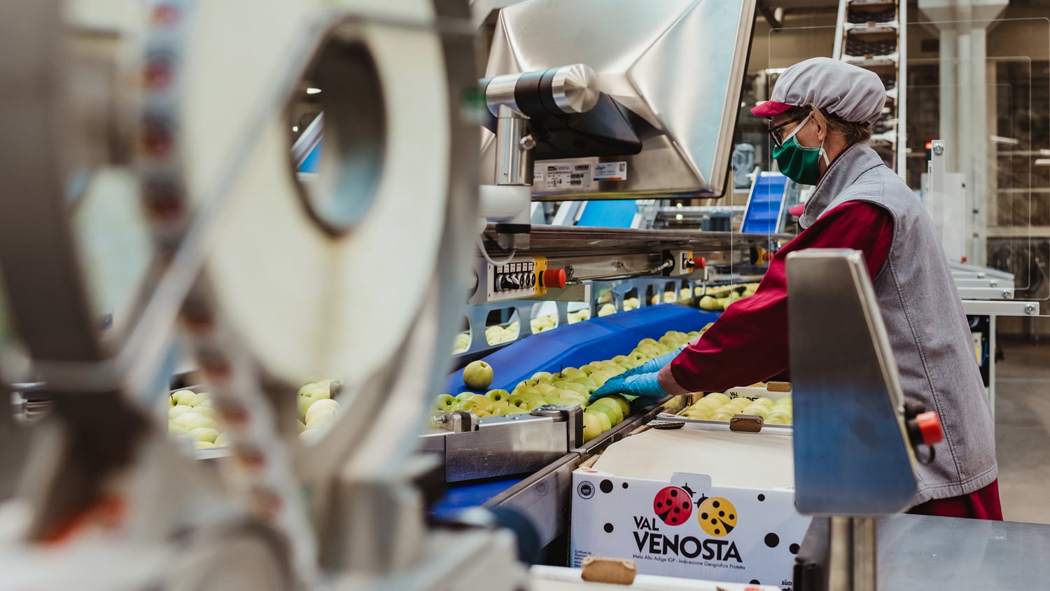 1. Why are labels attached to<br>Val Venosta Apples?