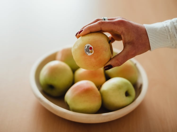 I bollini delle Mele Val Venosta