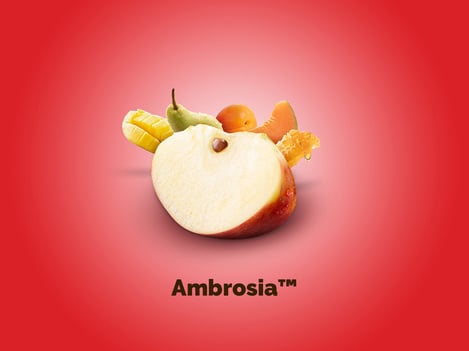 A taste explosion for Val Venosta Apples