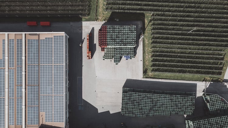 PRIMO CAMPO D‘AZIONE