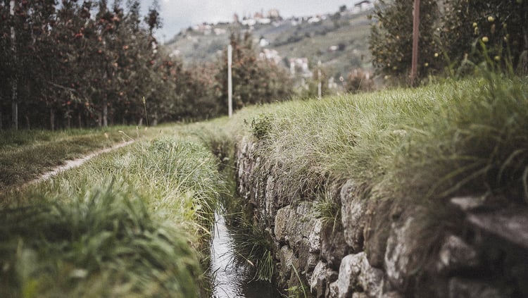 TERZO CAMPO D‘AZIONE