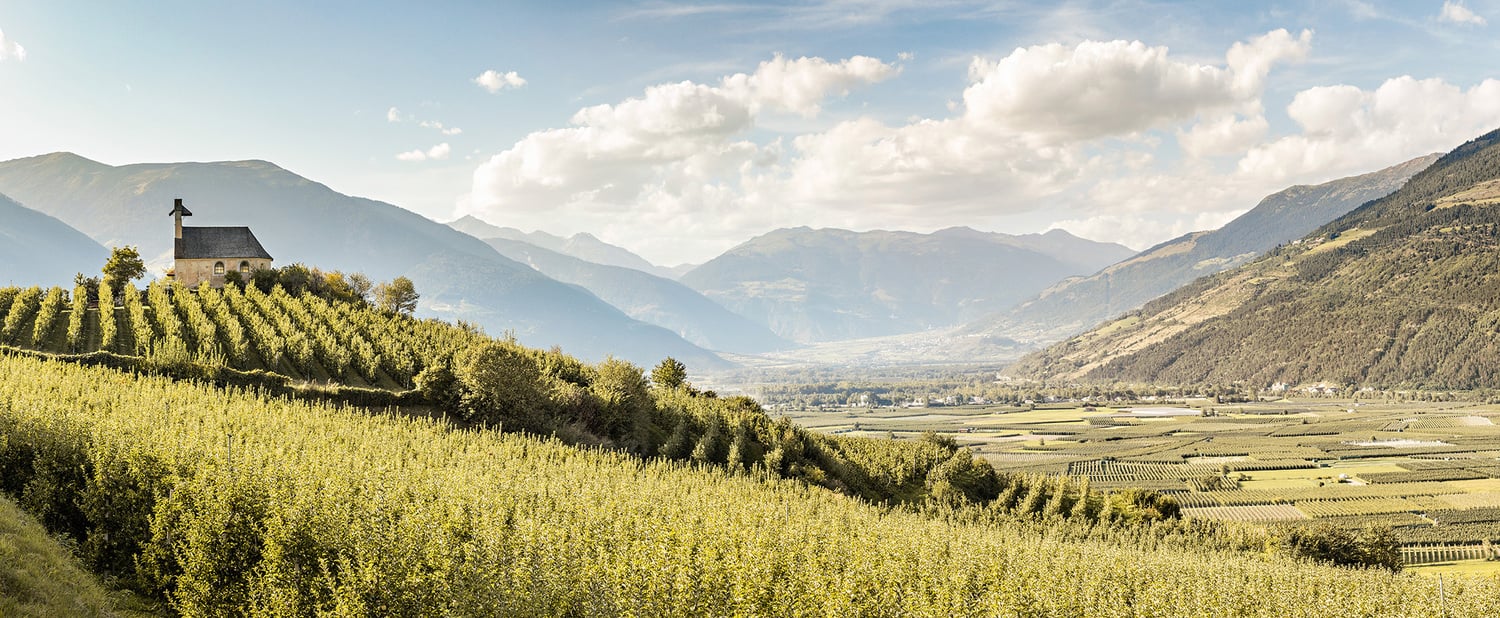 Marchio Val Venosta