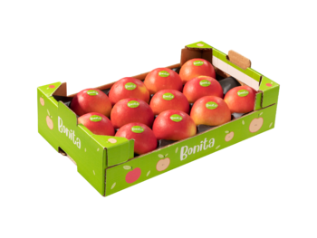 Mini-Baby cardboard box
