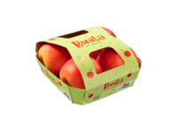Cardboard fruittainer with top