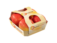Cardboard fruittainer with top