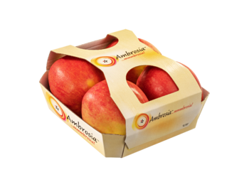 Cardboard fruittainer with top