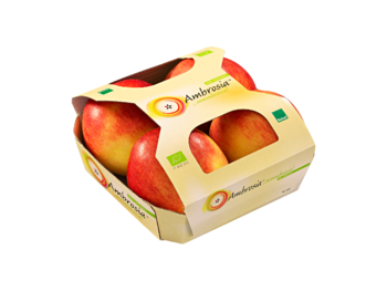 Cardboard fruittainer with top