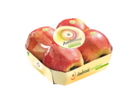 Foodtainer