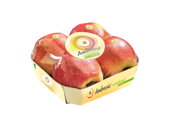 Foodtainer