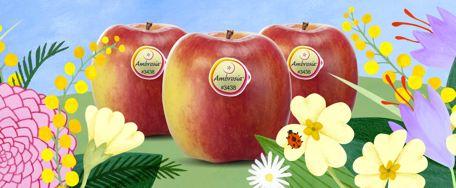 Mela Ambrosia™: fine stagione anticipato ad inizio aprile