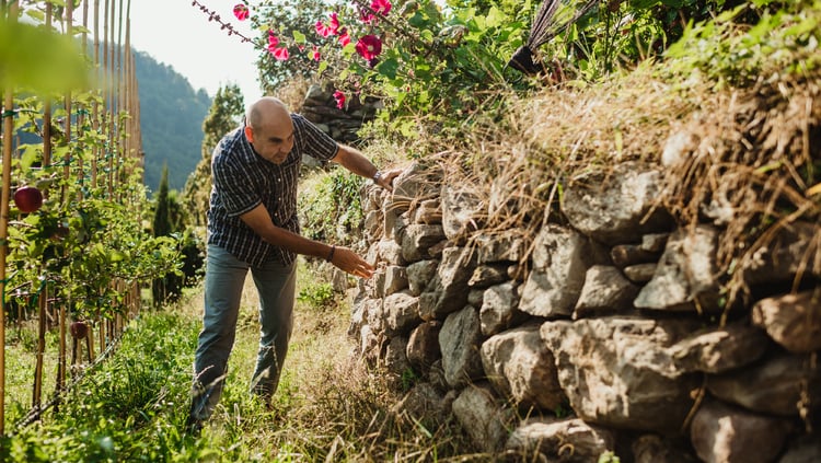 Muros y piedras como lugares de retiro