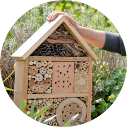 Insektenhotels