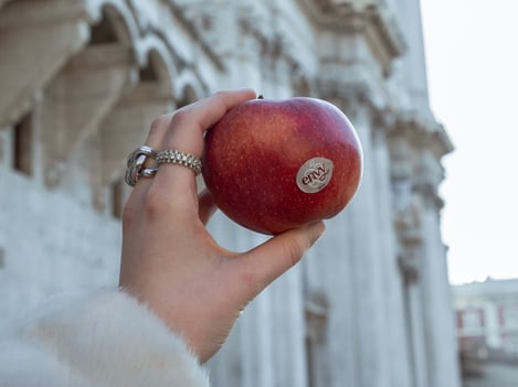 envy™, la stagione si chiude con un boom di vendite