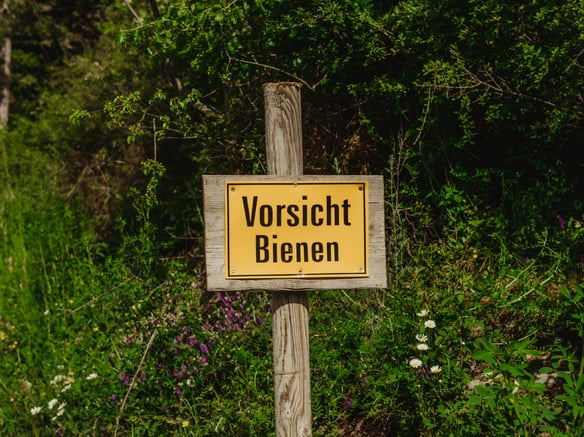 Gemeinsam für die Bienen