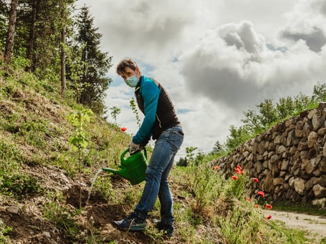 Gemeinsam für die Bienen