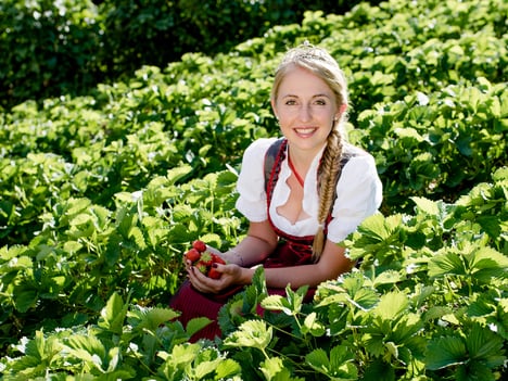Fragole Val Martello:<br>l’incredibile bontà delle fragole d’alta quota