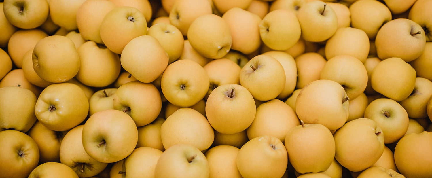 A successful end to the yello® season