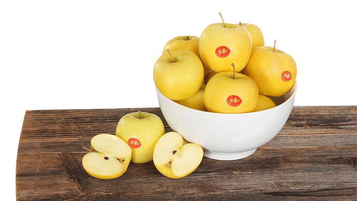 Positiver Saisonabschluss für yello®