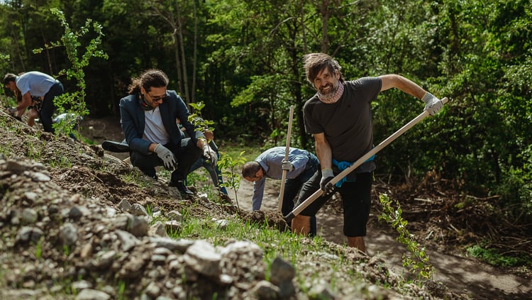 1.400 plantas de miel