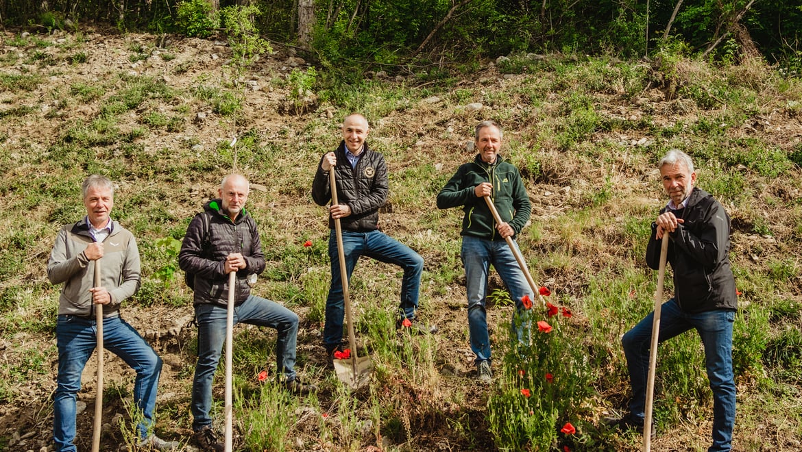 The bee pasture at Laces’ Monte Sole 5