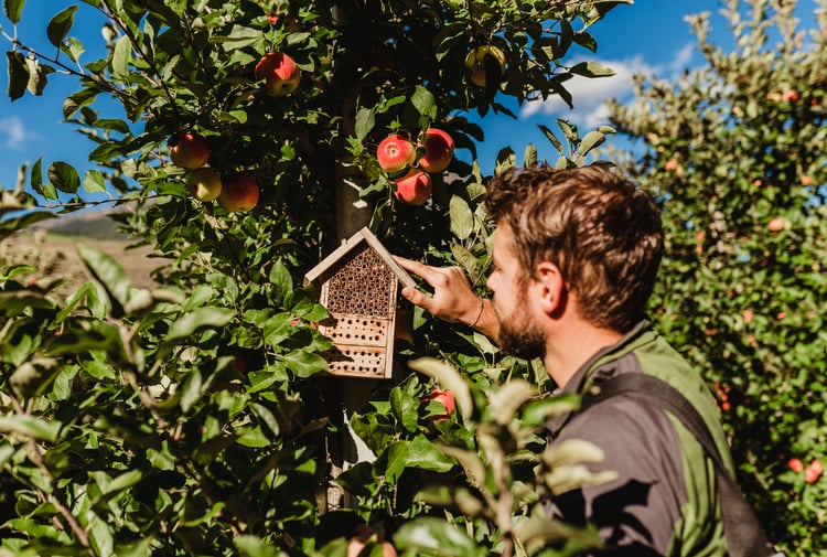 Questionario sull'habitat frutteto