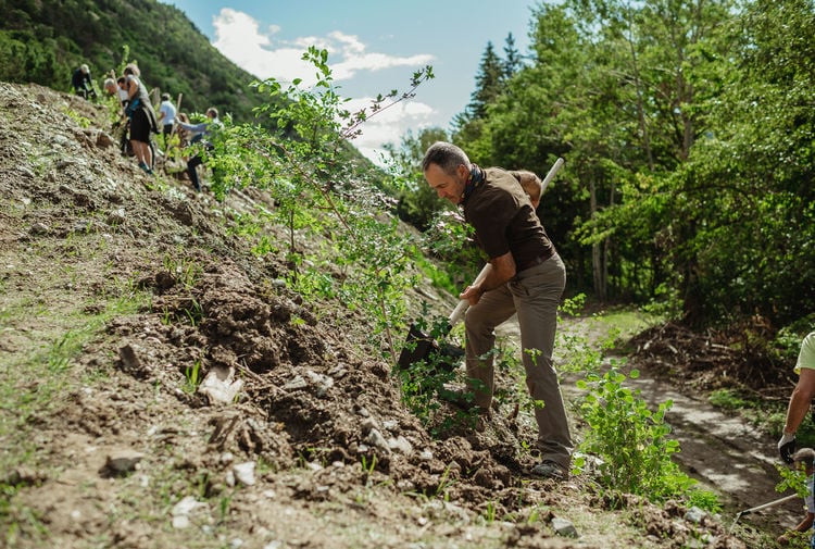 Pascolo per le api al Monte Sole di Laces