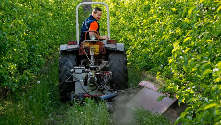 Freiwilliger Verzicht auf Herbizide