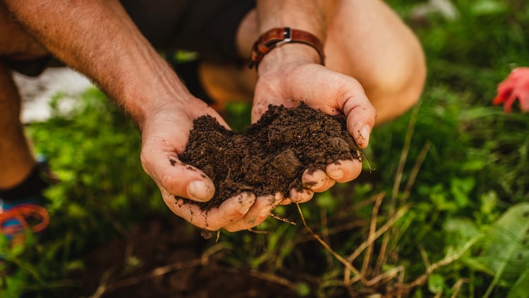 We respect the ecological standards of the EU