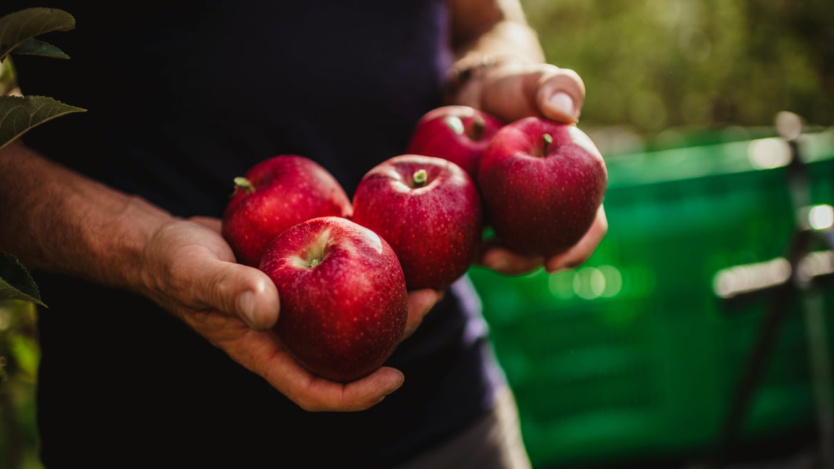 Ritorno alla piena produzione