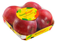 Foodtainer