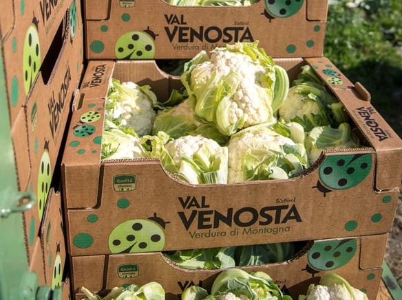 Prodotti estivi della Val Venosta tra alti e bassi