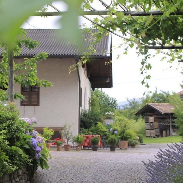 Gasserhof Plars Finca