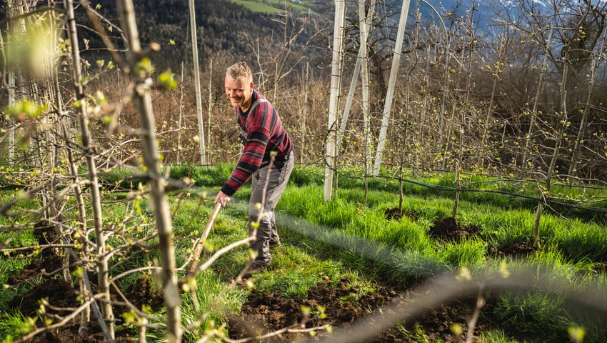 Gasserhof Plars Finca