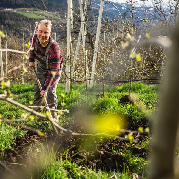 Gasserhof Plars Finca