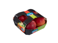 Cardboard fruittainer with top