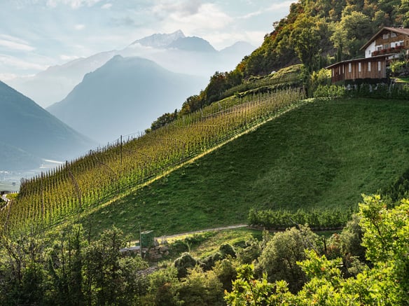 Il futuro della melicoltura della Val Venosta