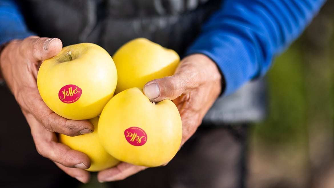 yello® zu Jahresbeginn im Fokus