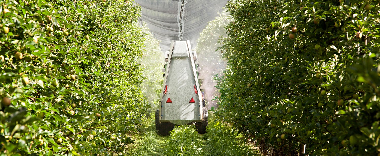 Medidas fitosanitarias en el sector de la manzana