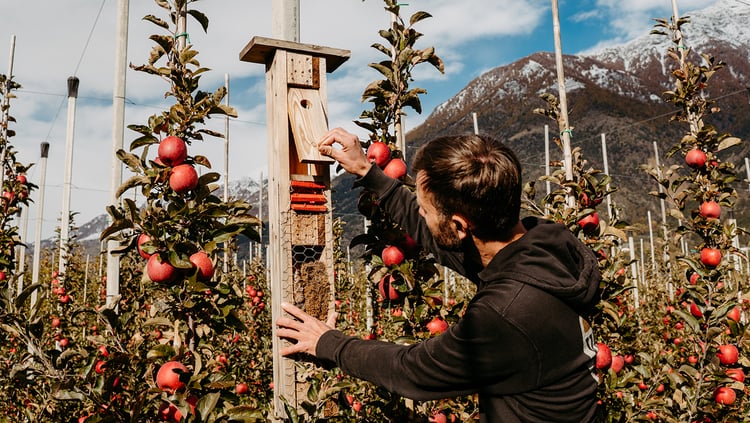 Rigide direttive per la produzione biologica