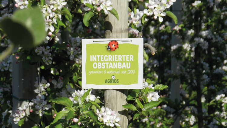 Rigide direttive per la produzione integrata